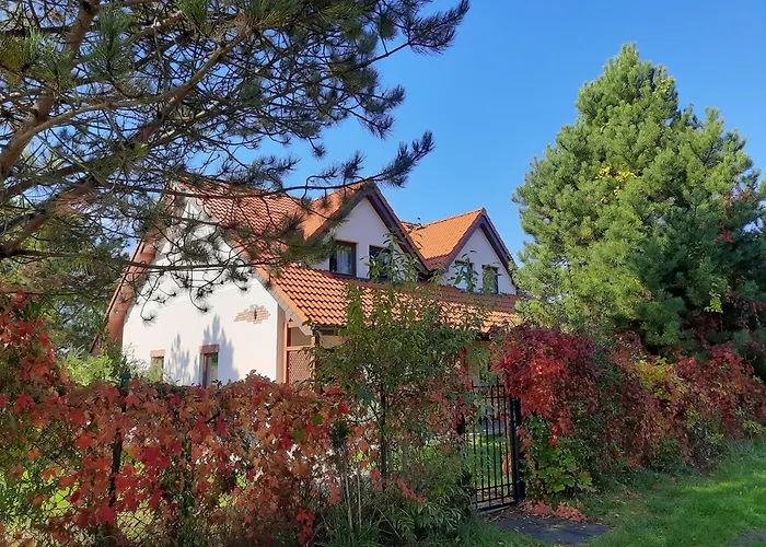 Nad Morzem, Jas * Sarbinowo